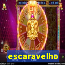 escaravelho significado espiritual